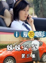 国产20页
