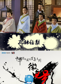 国产20页